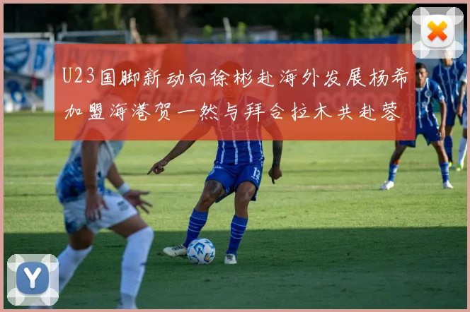 U23国脚新动向徐彬赴海外发展杨希加盟海港贺一然与拜合拉木共赴蓉城